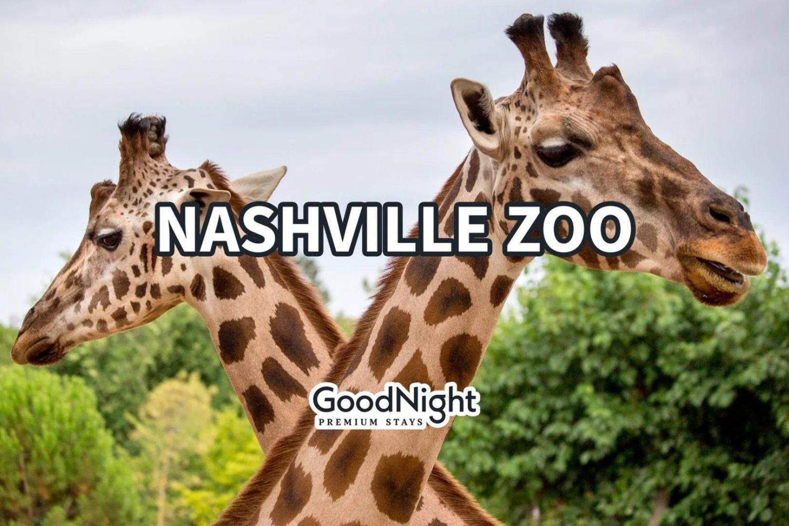 Country Lyric - Mins To Downtown - Rooftop Deck NashvilleNashville  Kültér fotó